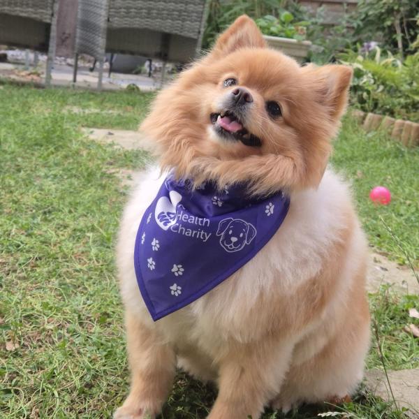 Luna Wearing Cnwl Charity Bandana