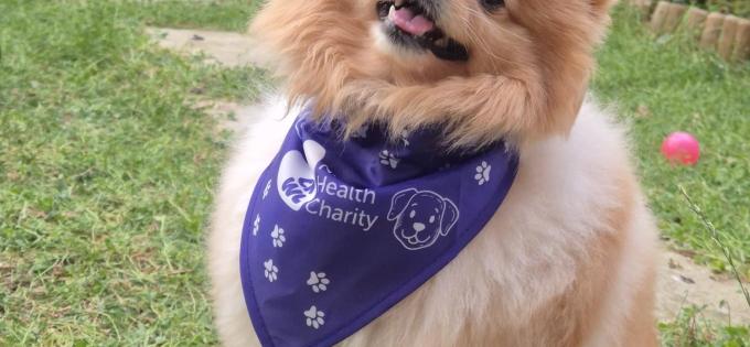 Luna Wearing Cnwl Charity Bandana