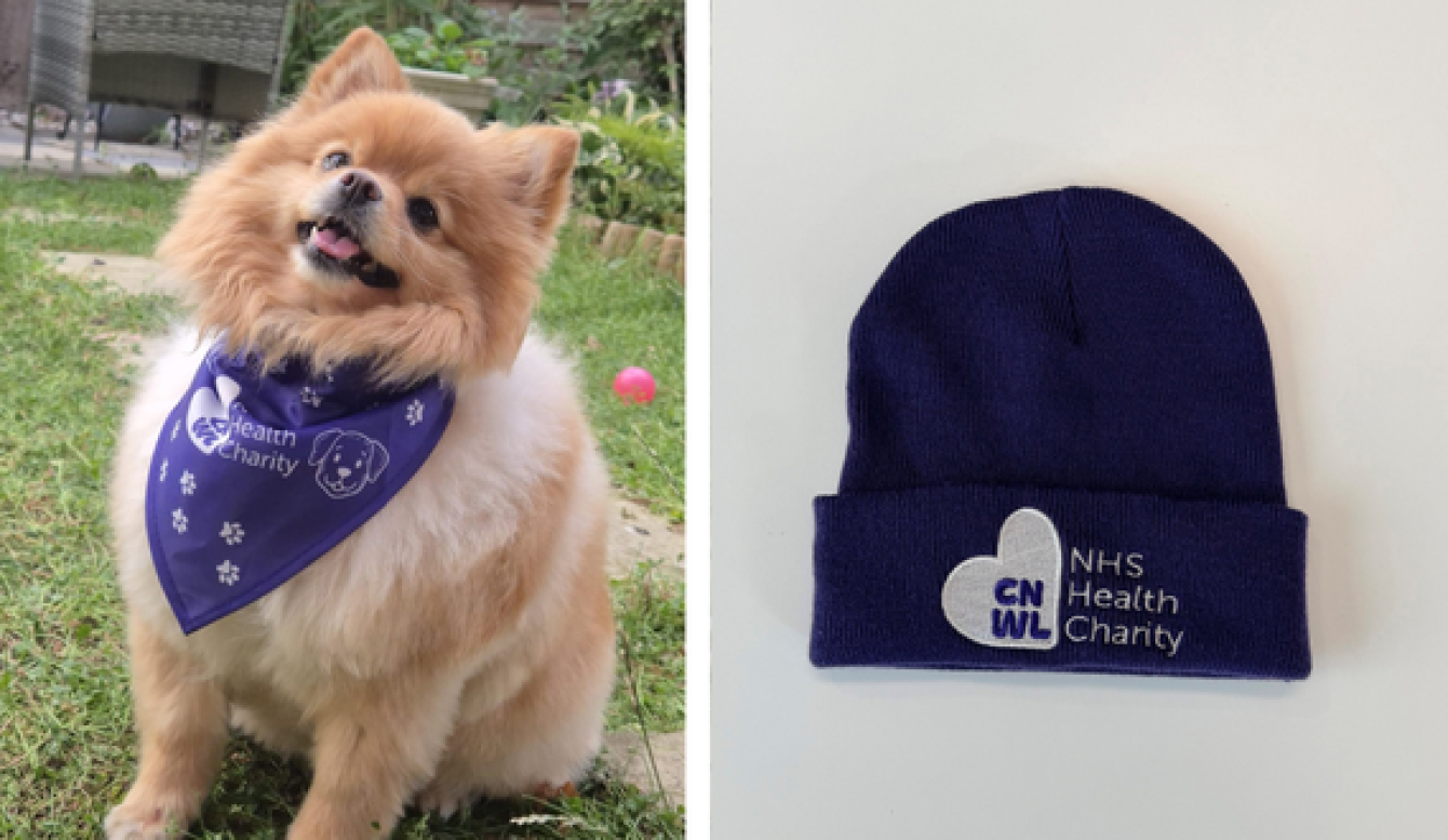 Luna And Cnwl Charity Beanie 1 