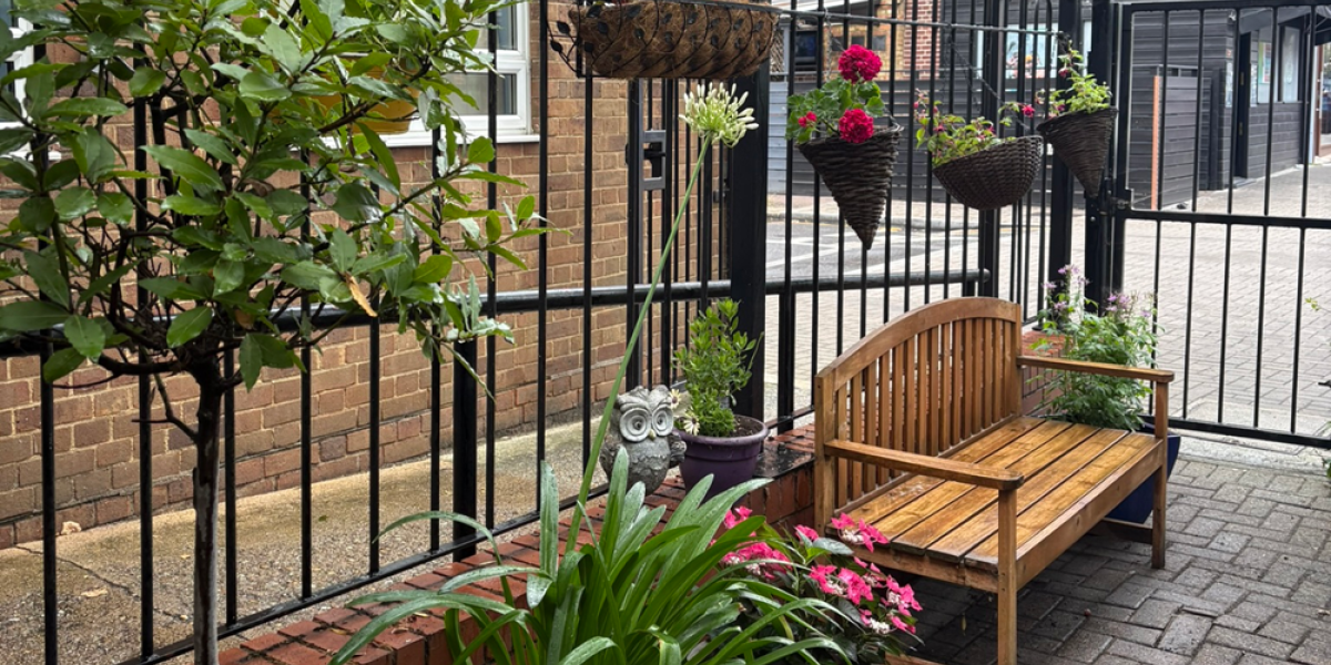 Potted Plants And A Bench Harrow Camhs Garden 1 