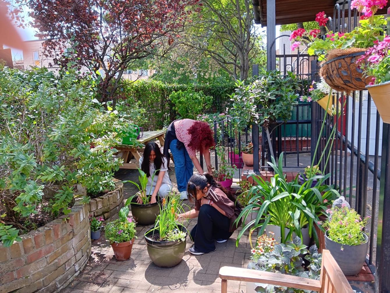 Harrow Camhs Garden Project 2026 6