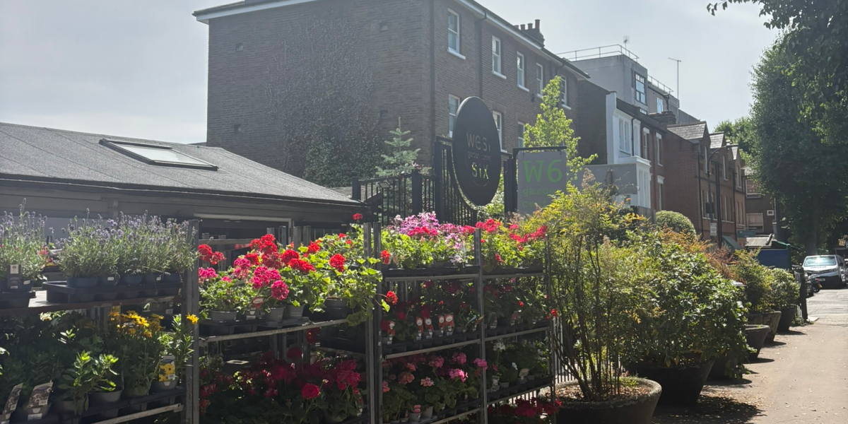 Plants Outside Of W6 Garden Centre