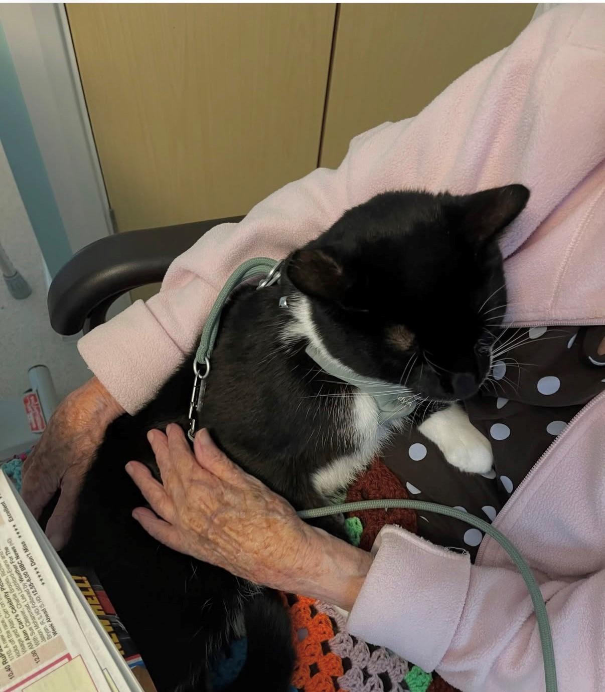 Mochi And Patient On Wicu