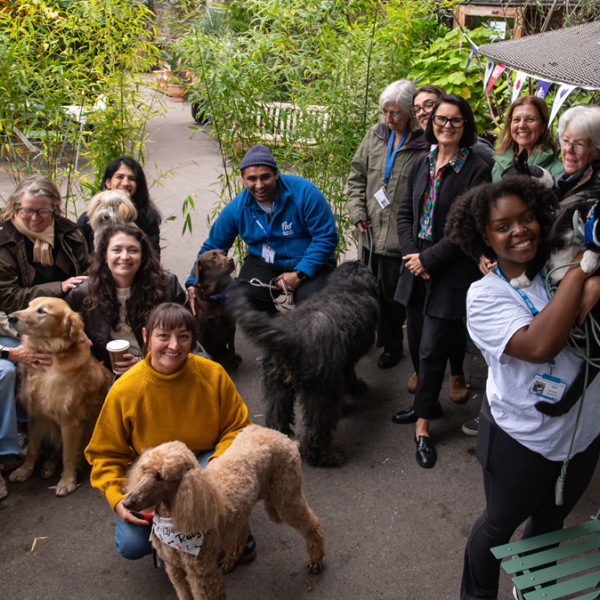Pet Therapy Team Photo